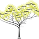 evolution-tree-chart